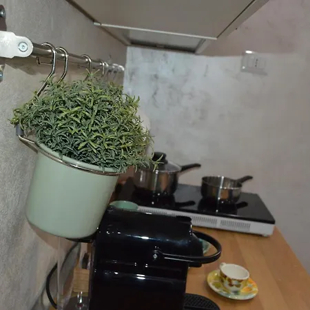 Ilary * 바리