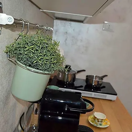 Ilary * 바리